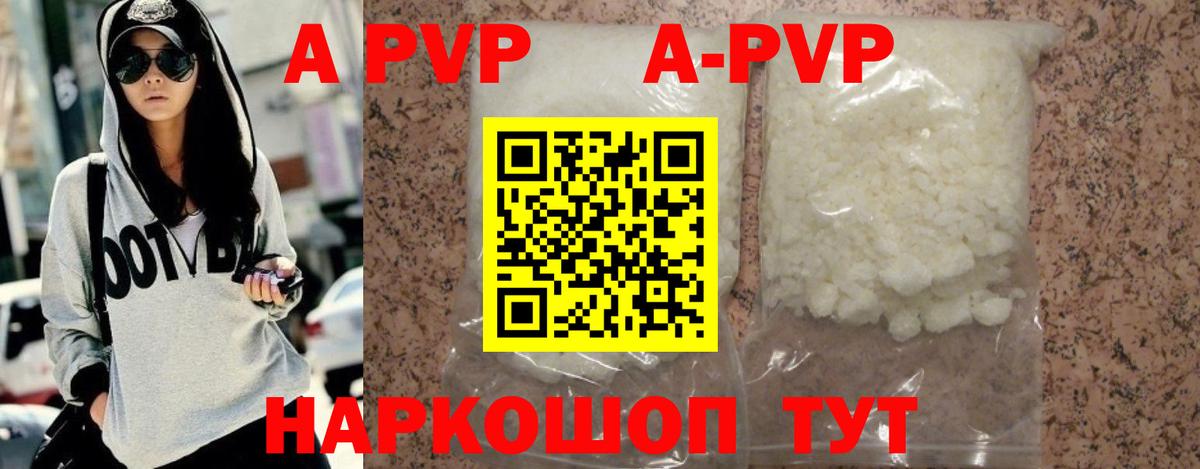 A-PVP СК КРИС Великий Новгород