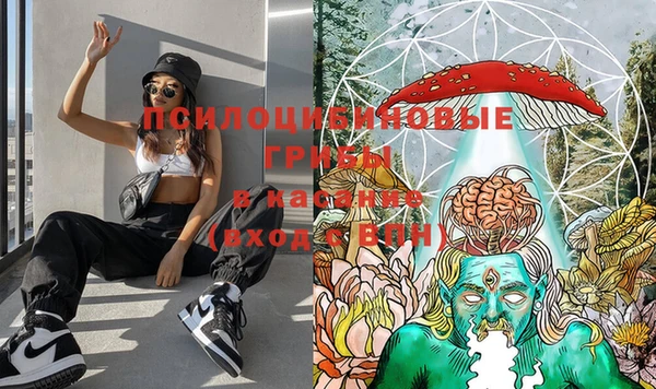 ешки Бугульма