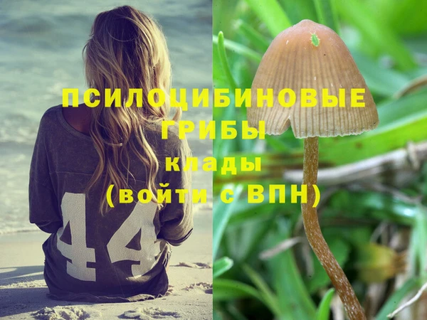 ешки Бугульма
