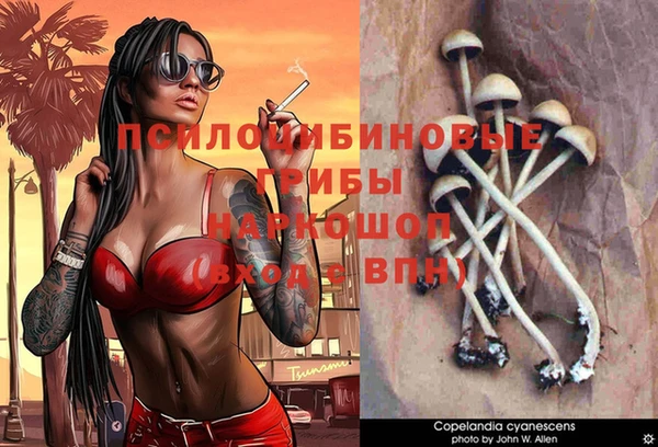 ешки Бугульма