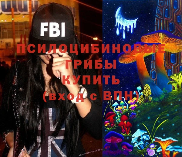 молекула духа Бородино