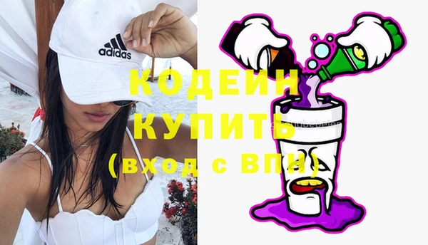молекула духа Бородино