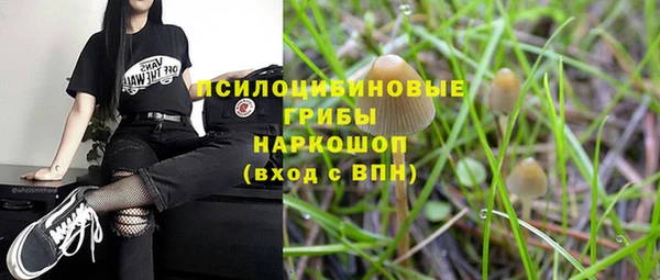 молекула духа Бородино