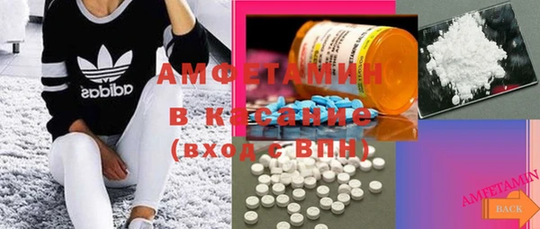 молекула духа Бородино