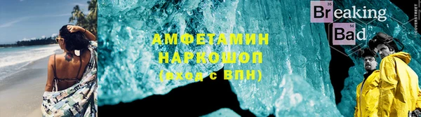 индика Слюдянка