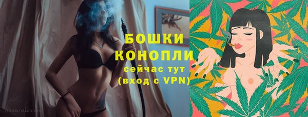 сатива Бронницы