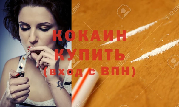 молекула духа Бородино