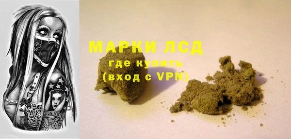 сатива Бронницы