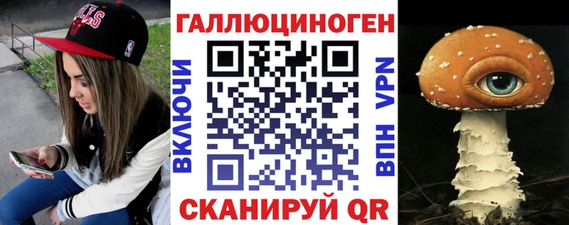 закладки  Великий Новгород  Псилоцибиновые грибы Cubensis 