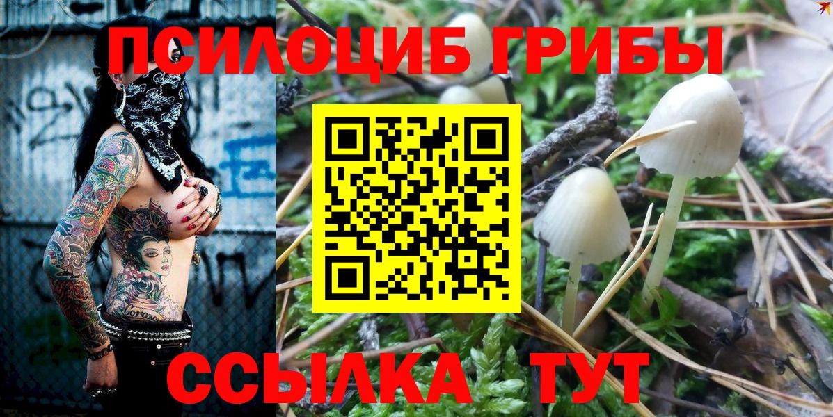 Псилоцибиновые грибы прущие грибы Великий Новгород