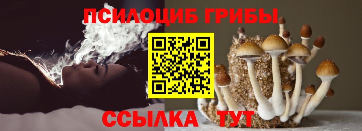 Галлюциногенные грибы Magic Shrooms Великий Новгород